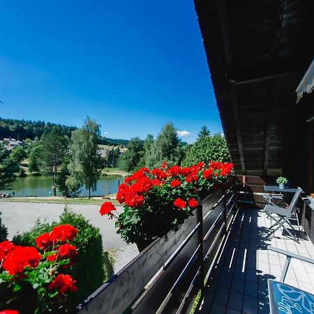 Ferienwohnungen Am Skilift Herrischried Luaran gambar
