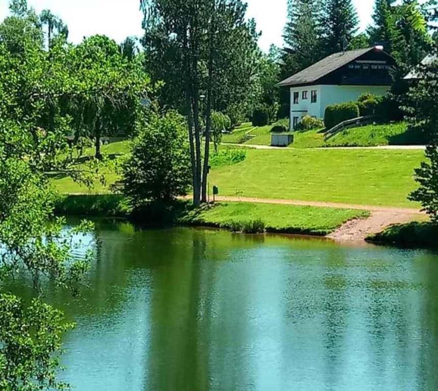 Ferienwohnungen Am Skilift Herrischried Luaran gambar