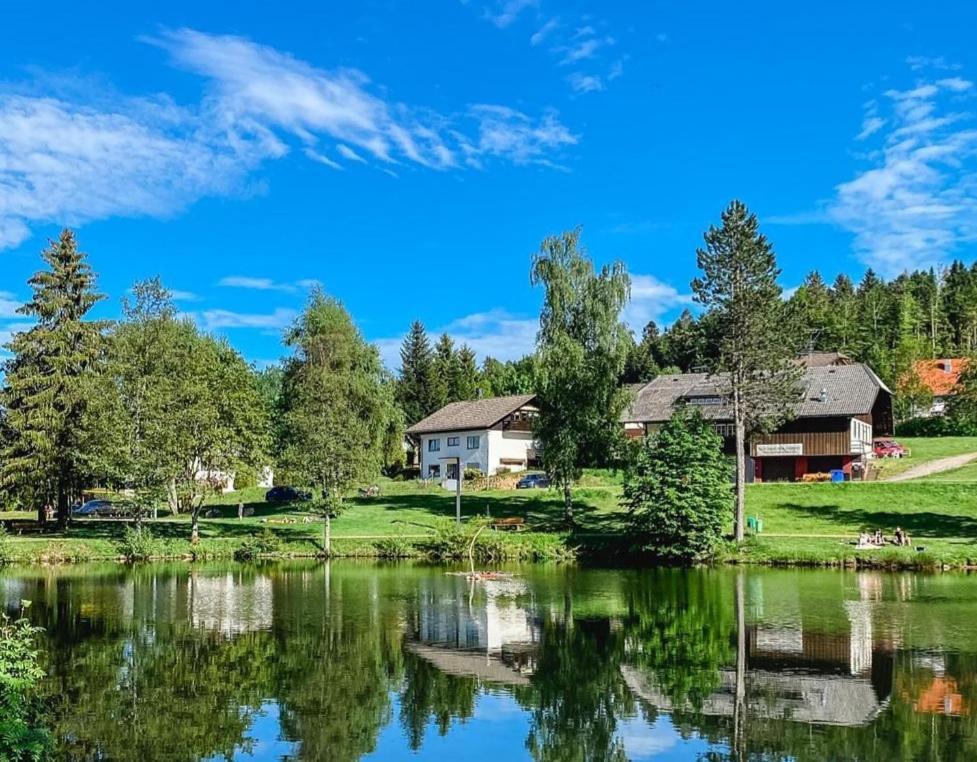 Ferienwohnungen Am Skilift Herrischried Luaran gambar