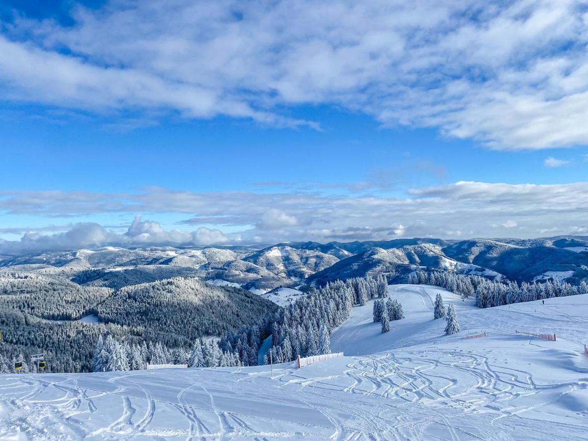Ferienwohnungen Am Skilift Herrischried Luaran gambar