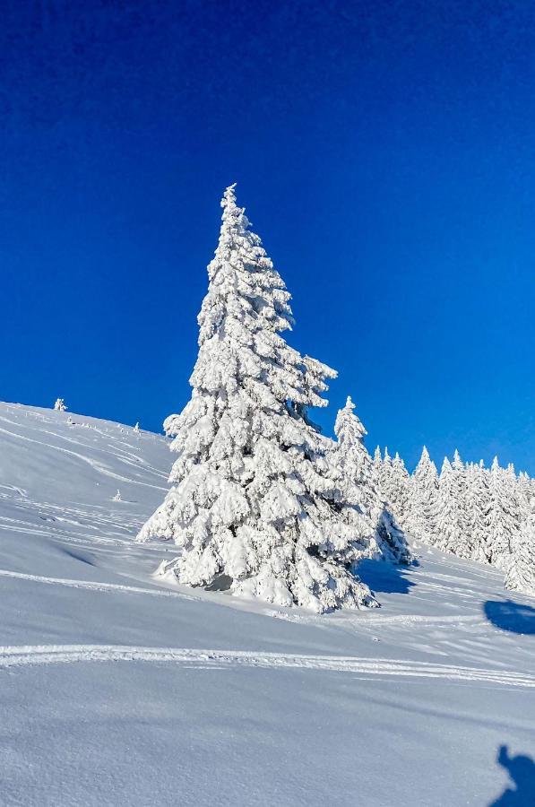 Ferienwohnungen Am Skilift Herrischried Luaran gambar