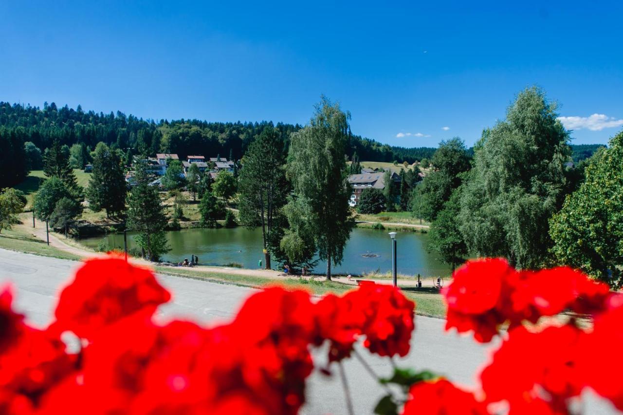 Ferienwohnungen Am Skilift Herrischried Luaran gambar