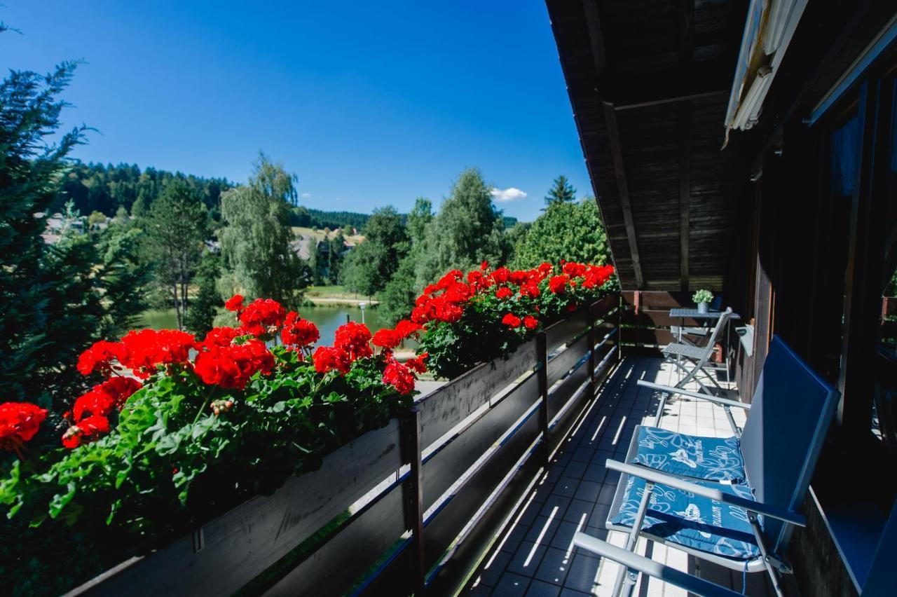 Ferienwohnungen Am Skilift Herrischried Luaran gambar