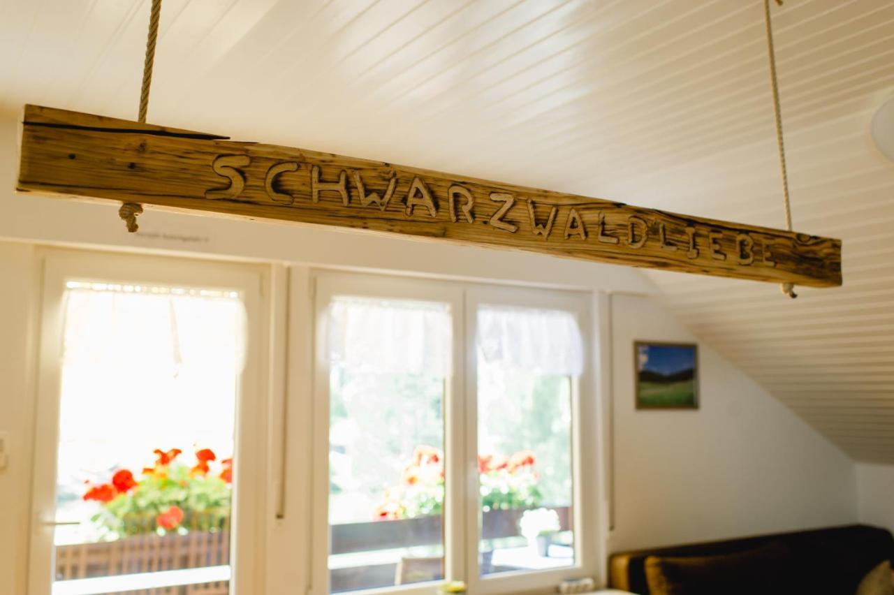 Ferienwohnungen Am Skilift Herrischried Luaran gambar
