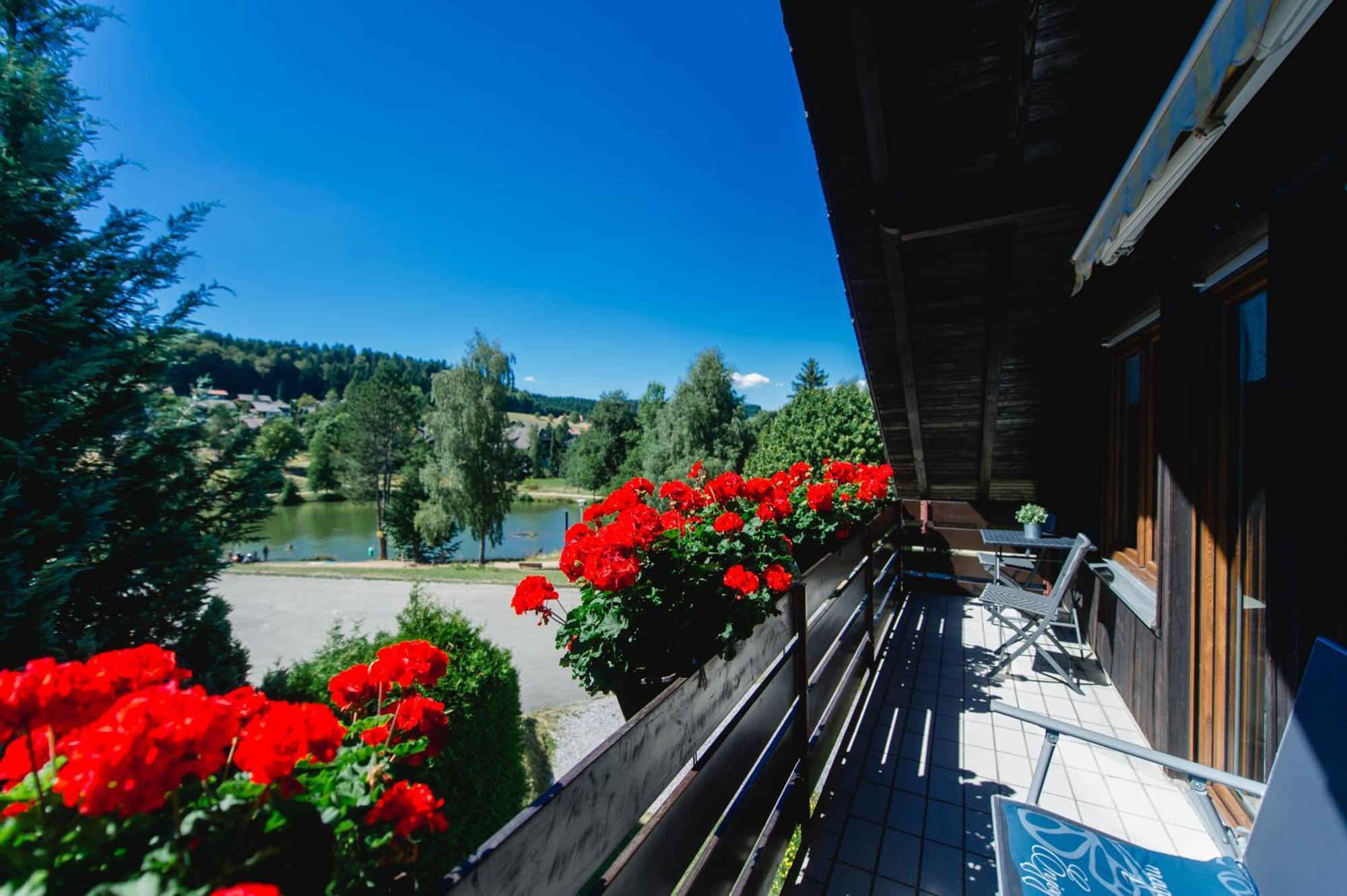 Ferienwohnungen Am Skilift Herrischried Luaran gambar