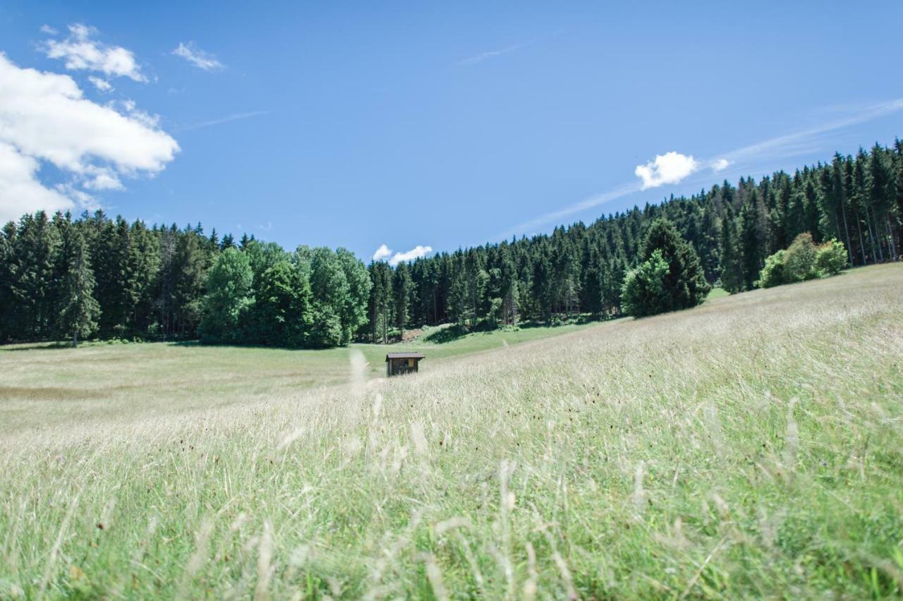 Ferienwohnungen Am Skilift Herrischried Luaran gambar