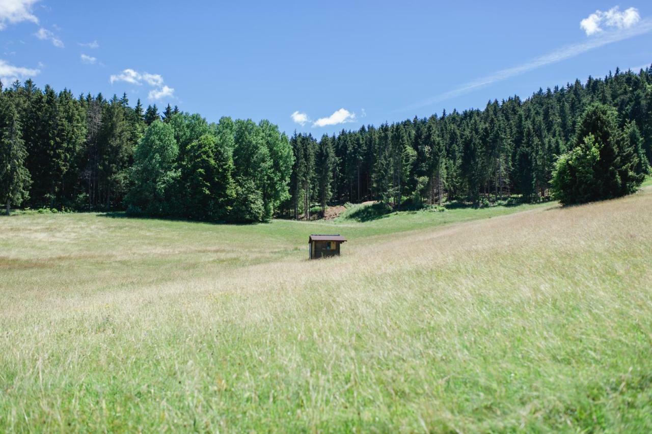 Ferienwohnungen Am Skilift Herrischried Luaran gambar