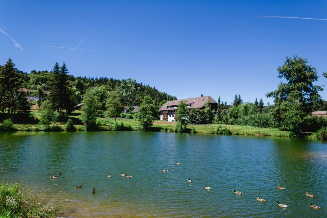 Ferienwohnungen Am Skilift Herrischried Luaran gambar