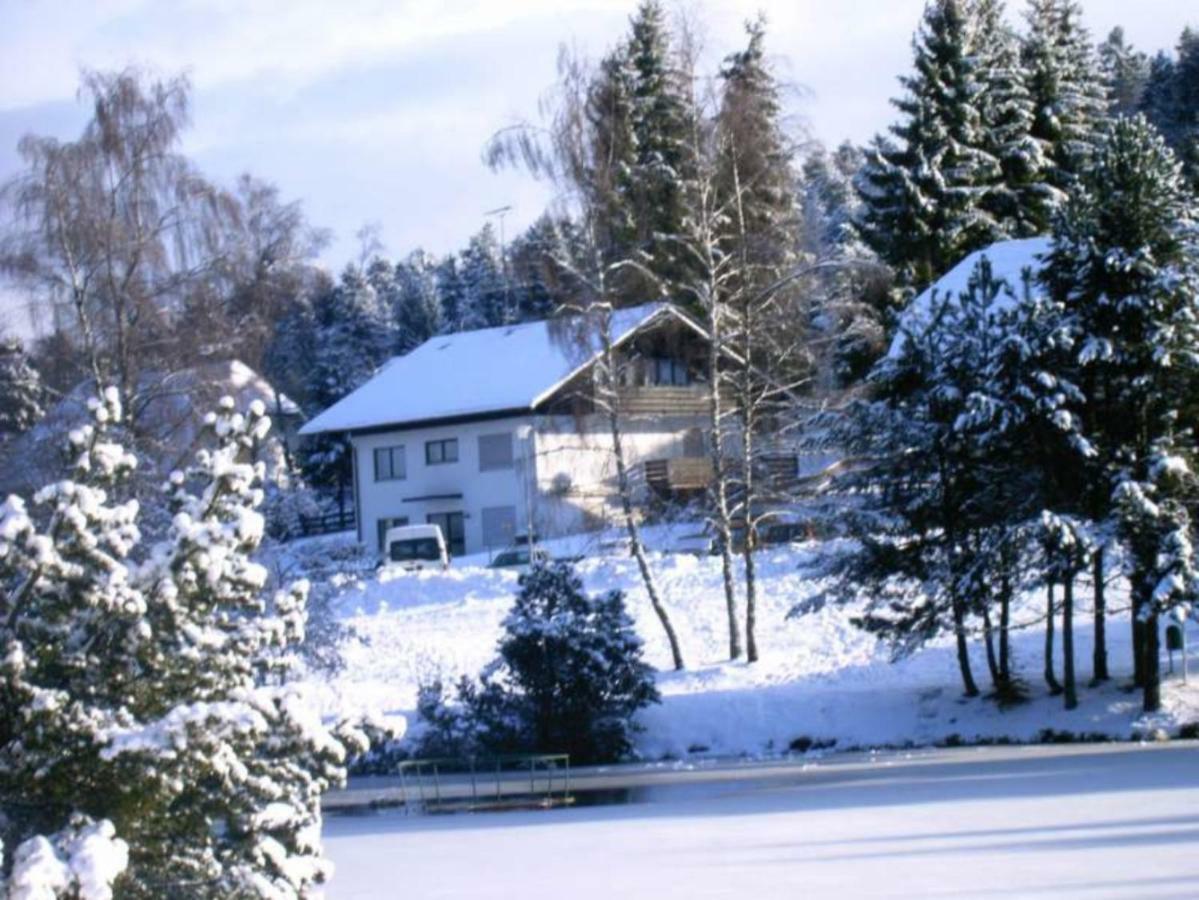 Ferienwohnungen Am Skilift Herrischried Luaran gambar