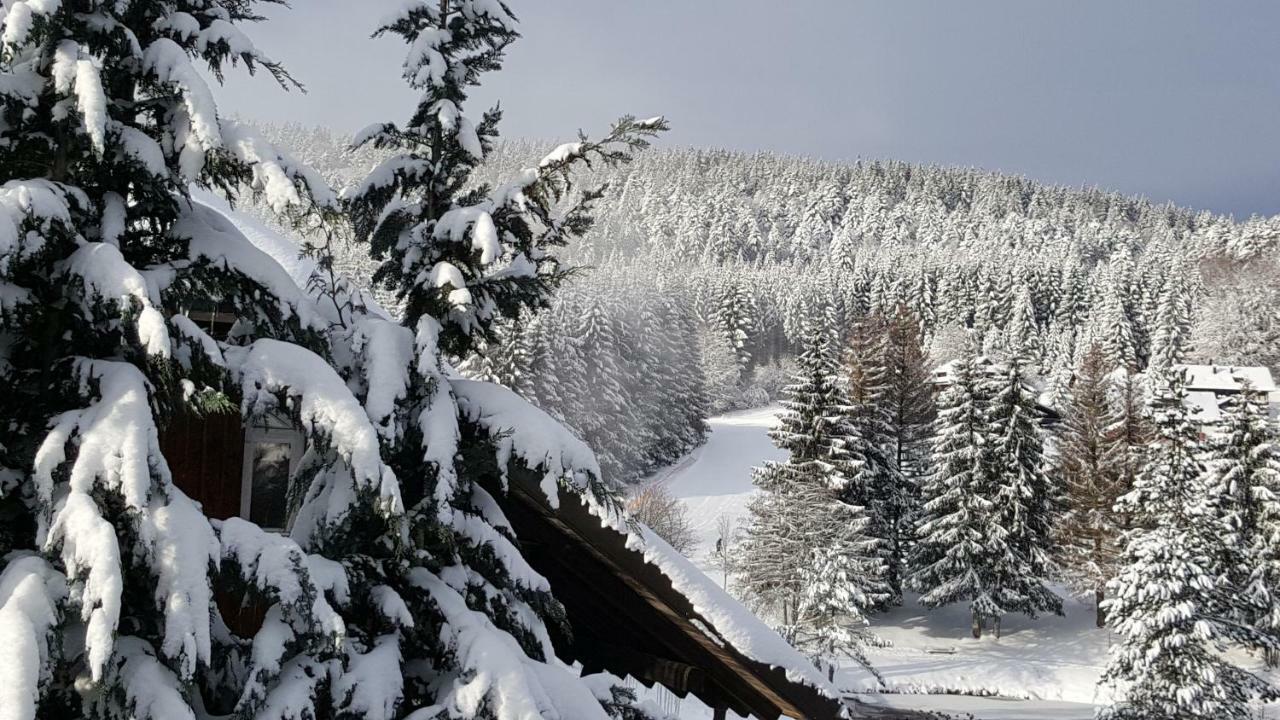 Ferienwohnungen Am Skilift Herrischried Luaran gambar