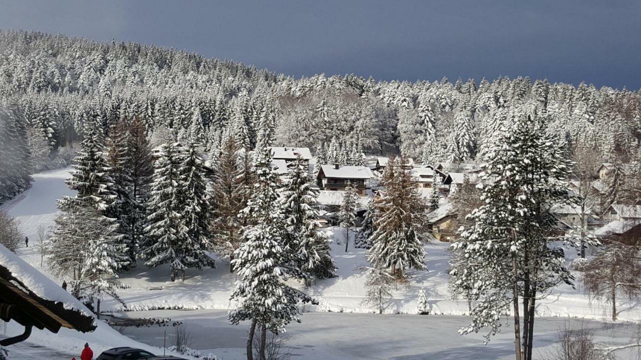 Ferienwohnungen Am Skilift Herrischried Luaran gambar